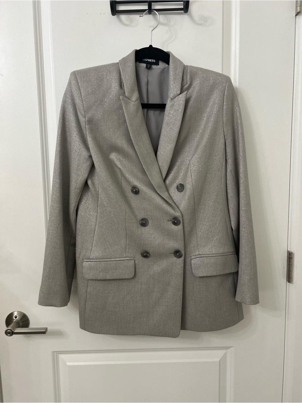 Express Shimmery Silver Double-Breasted Blazer Size Small
